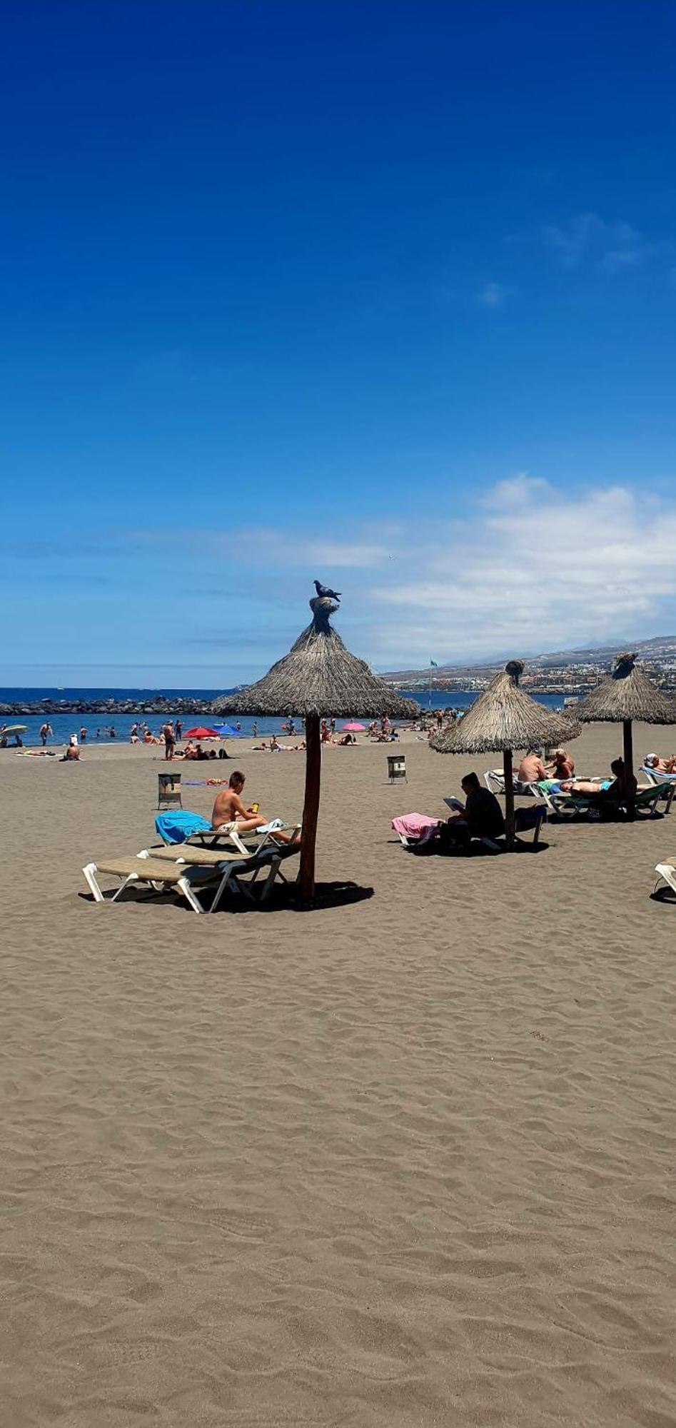 Wonderful White Appartament In Las Tortugas Playa de las Américas Buitenkant foto